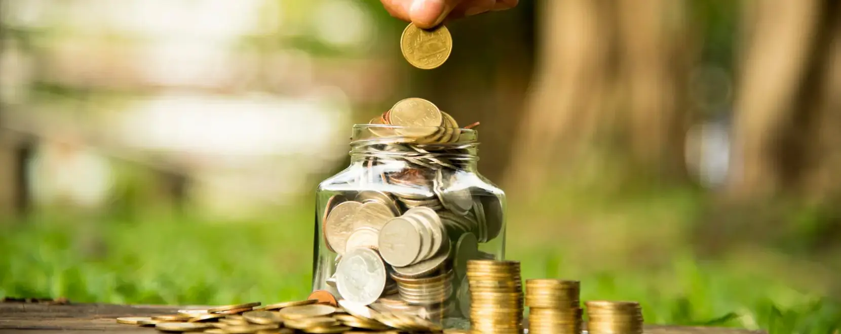 City Express Saving & Credit Co-operative Ltd. City Express Saving & Credit Co-operative Ltd.