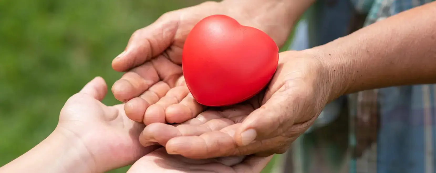 City Express Foundation